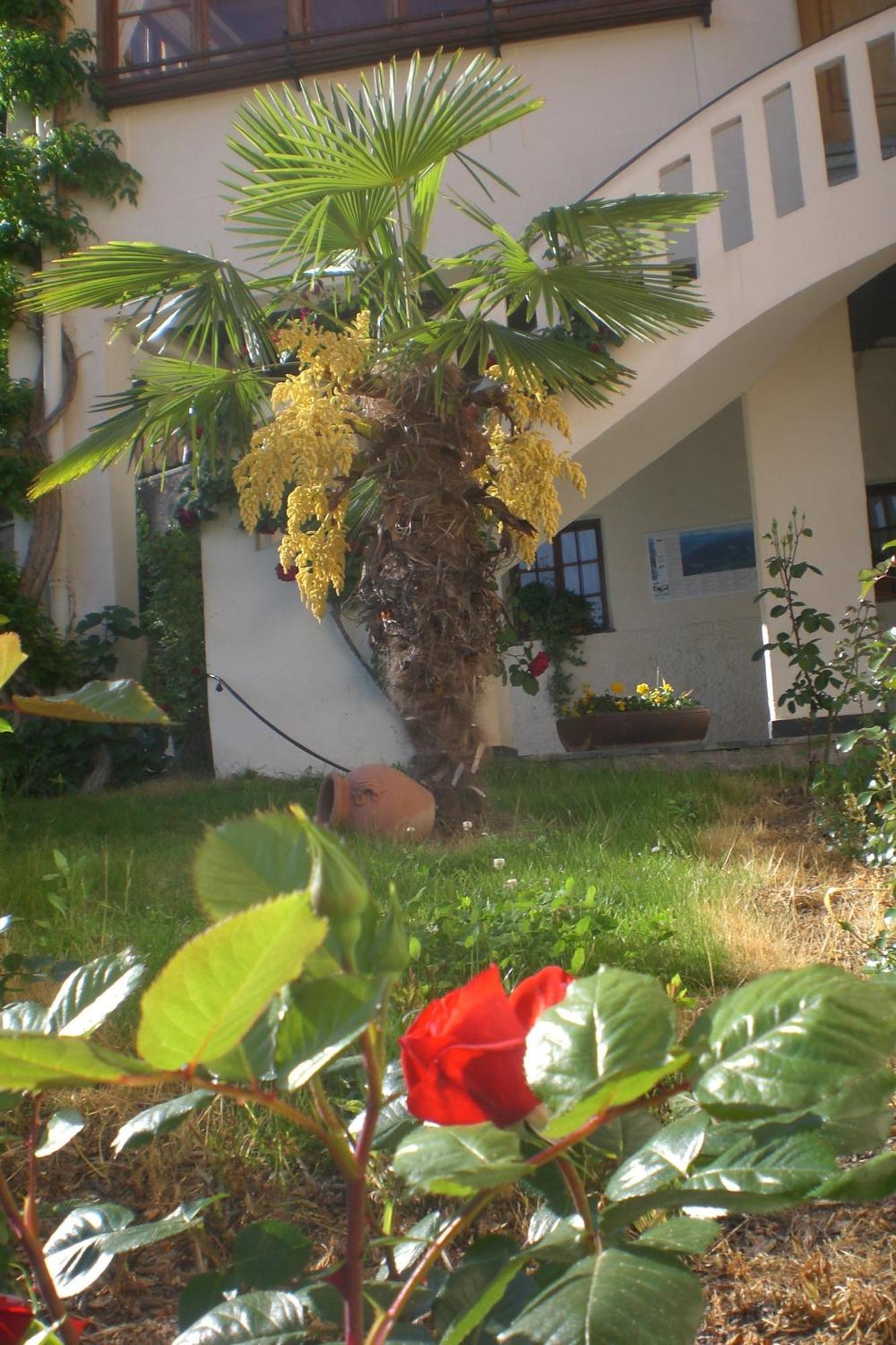 Residence Winklgut Lagundo Εξωτερικό φωτογραφία